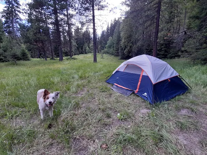 Lower Bake Oven Campground Picture 2