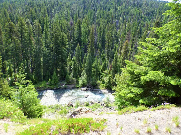 Lower Bake Oven Campground Picture 6