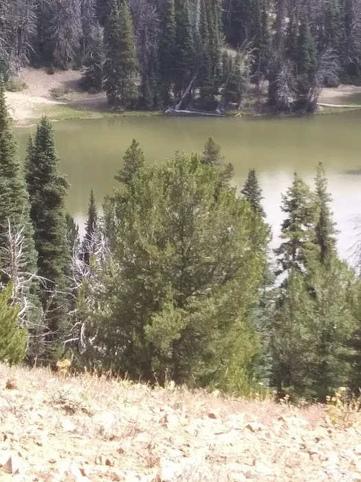 Lower Bake Oven Campground Picture 7