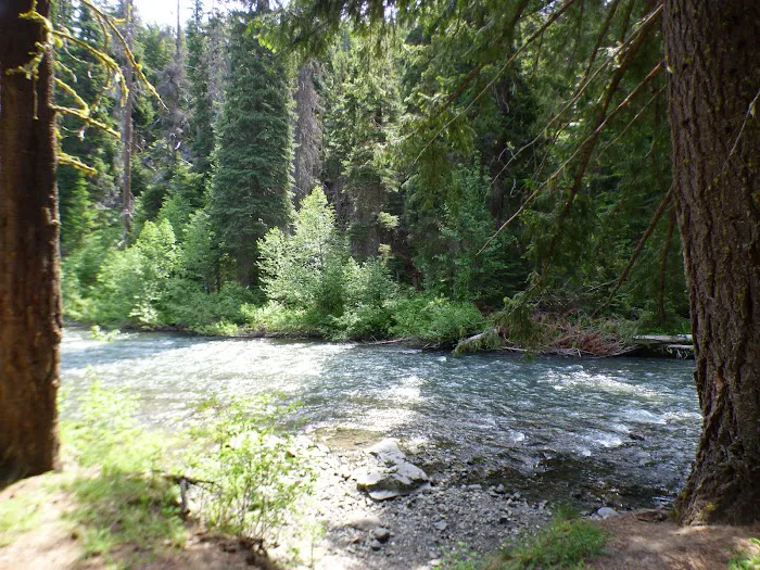 Lower Bake Oven Campground Picture 4