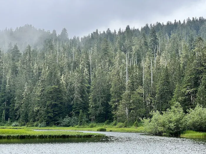 Mink Lake Picture 3