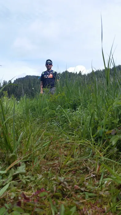 Mink Lake Picture 9
