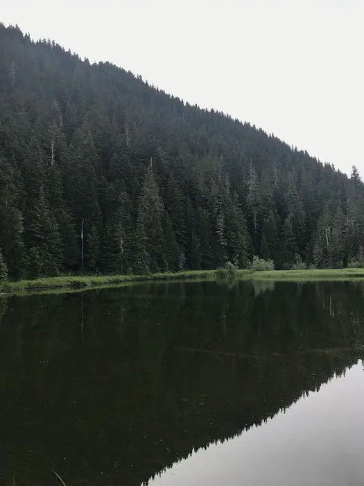 Mink Lake Picture 8