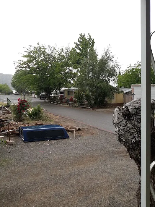 Trombetta's Resort Picture 7