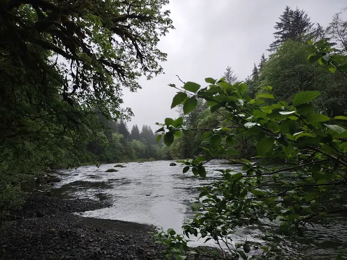 Klahowya Campground Picture 2