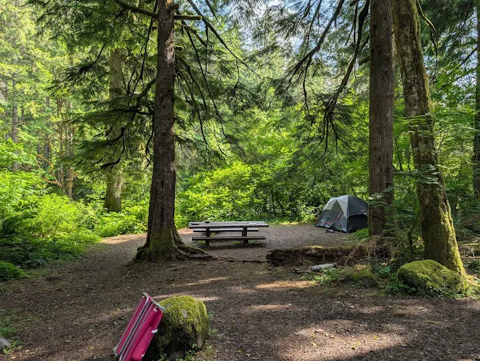 Klahowya Campground Picture 5
