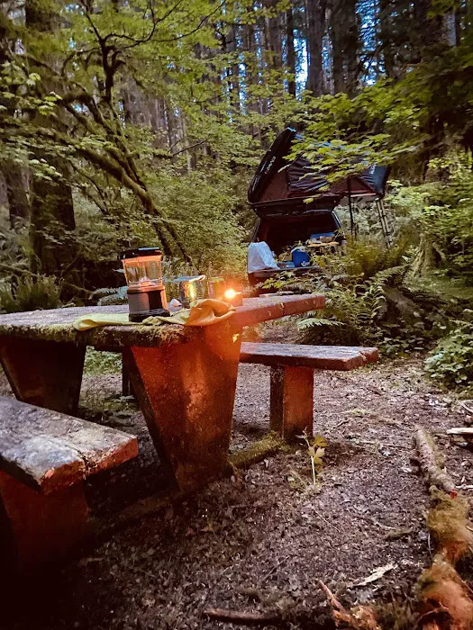 Klahowya Campground Picture 6