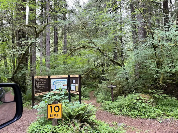Klahowya Campground Picture 9