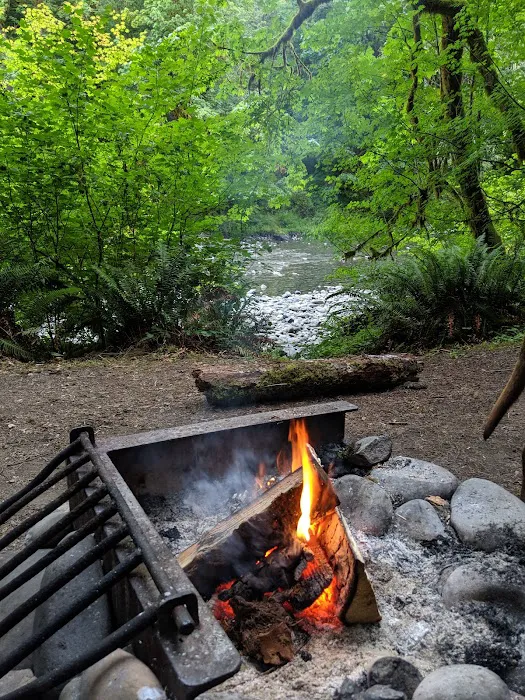 Klahowya Campground Picture 10