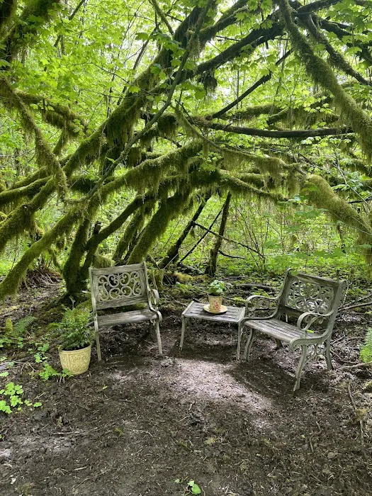 Misty Willow's Farm and Camp Picture 8