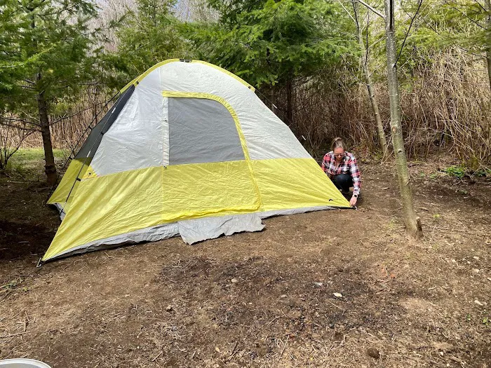 Misty Willow's Farm and Camp Picture 7