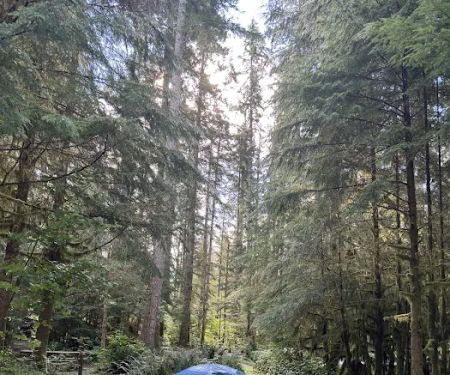 Bear Creek Campground