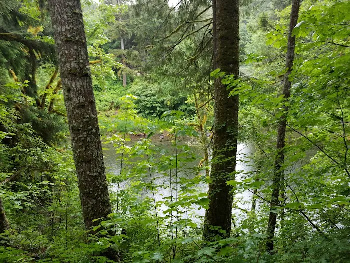 Bear Creek Campground Picture 3
