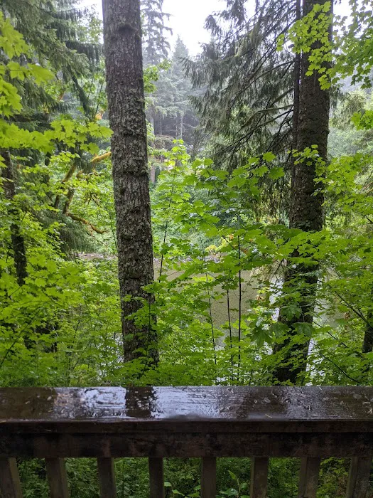 Bear Creek Campground Picture 10