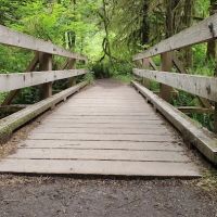 Hoh Rain Forest Campground ico