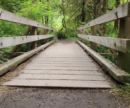 Hoh Rain Forest Campground