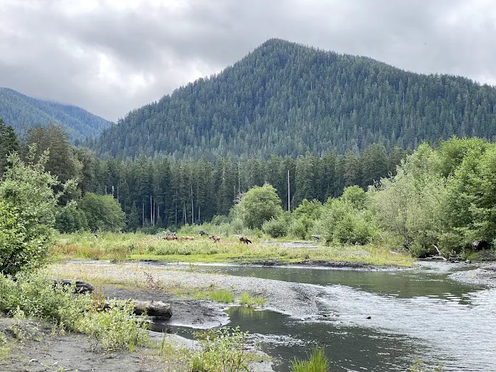 Hoh Rain Forest Campground Picture 3