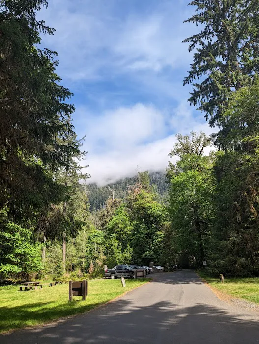 Hoh Rain Forest Campground Picture 2