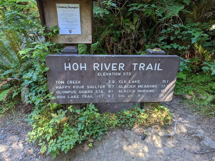 Hoh Rain Forest Campground Picture 10