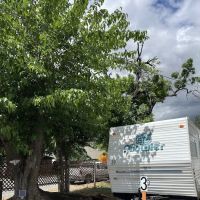 Agosto Park ico