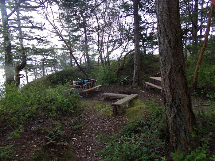 Lummi Island Campground Picture 2