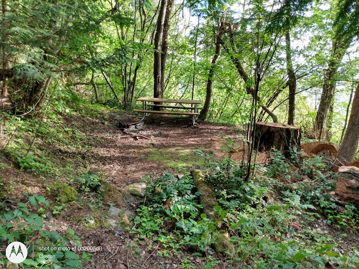 Lummi Island Campground Picture 3