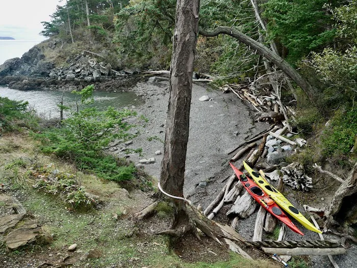 Lummi Island Campground Picture 1