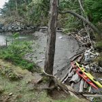 Lummi Island Campground