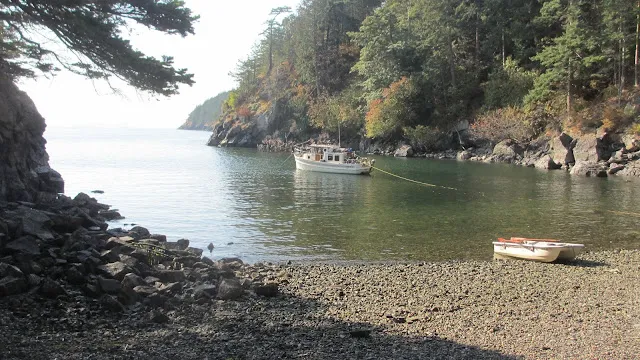 Lummi Island Campground Picture 4