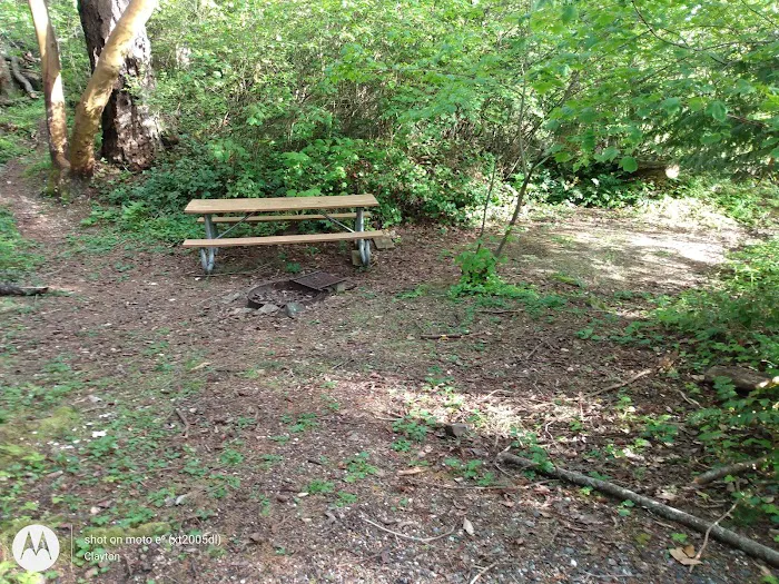 Lummi Island Campground Picture 9