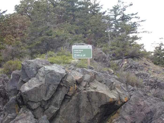 Lummi Island Campground Picture 7