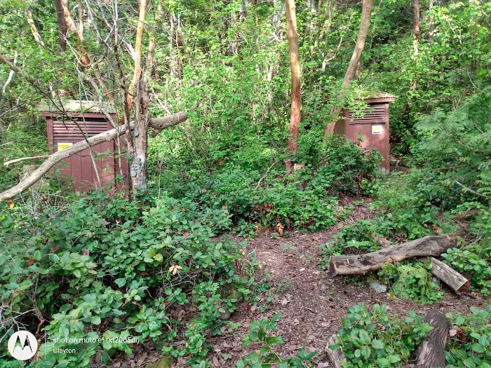 Lummi Island Campground Picture 6