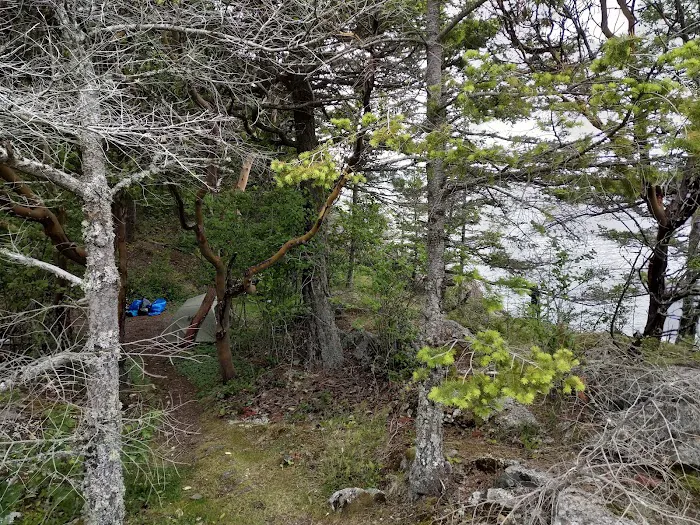 Lummi Island Campground Picture 10