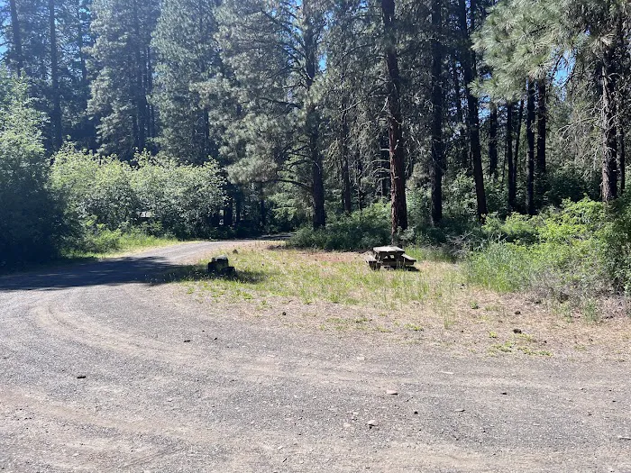 Cottonwood Campground - Naches RD Picture 1