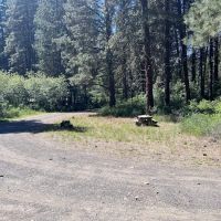 Cottonwood Campground - Naches RD ico