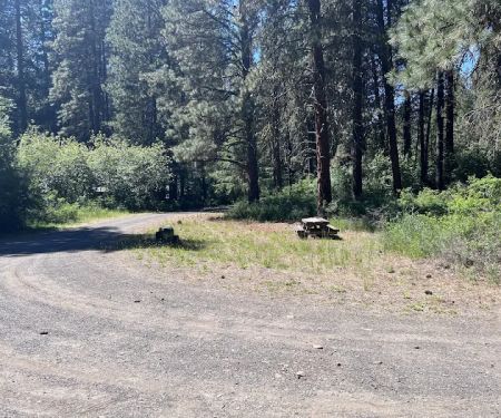 Cottonwood Campground - Naches RD