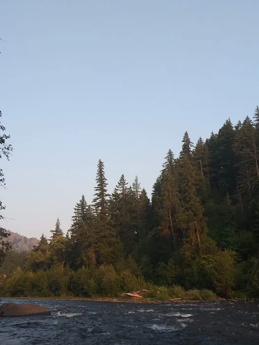 Cottonwood Campground - Naches RD Picture 6