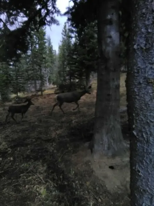 South Navarre Campground Picture 1