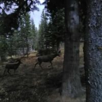 South Navarre Campground ico