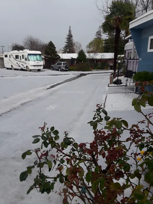 North Sacramento Mobile Home Park Picture 2