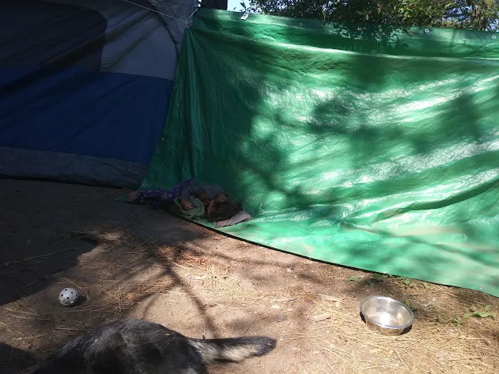 El Camino Mobile Home & RV Park Picture 6