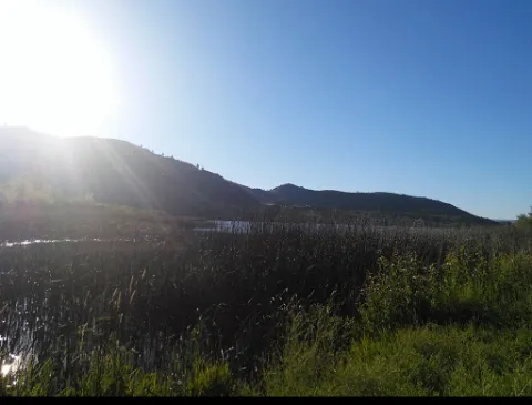 Kamei Campground & RV Park Picture 3