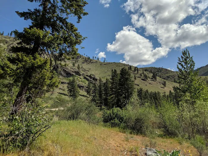 Antilon Lake Campground Picture 2