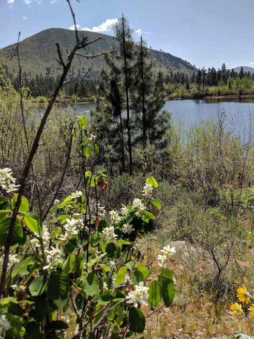 Antilon Lake Campground Picture 5