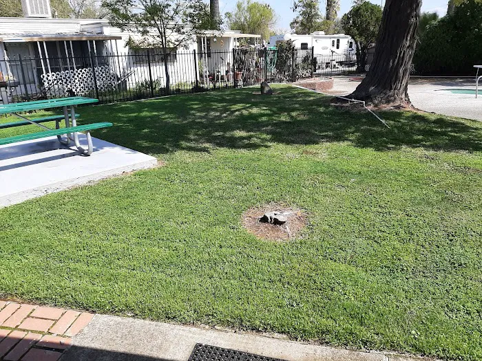 Camellia Gardens Mobile Home Park Picture 2