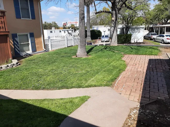 Camellia Gardens Mobile Home Park Picture 3