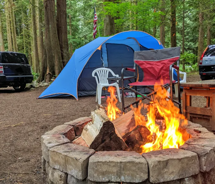 Skagit River Woods Picture 6