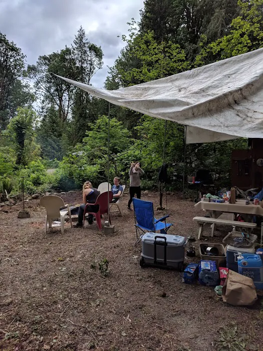 Skagit River Woods Picture 9