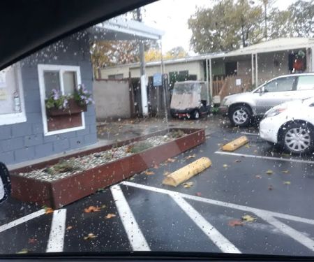 Hagginwood Village Mhp