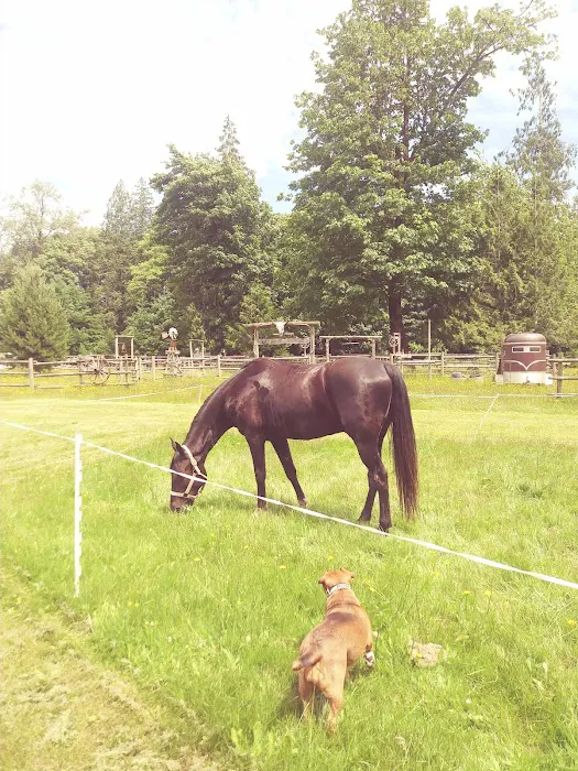 Cowboy Campsite Private Equine/Membership Picture 8